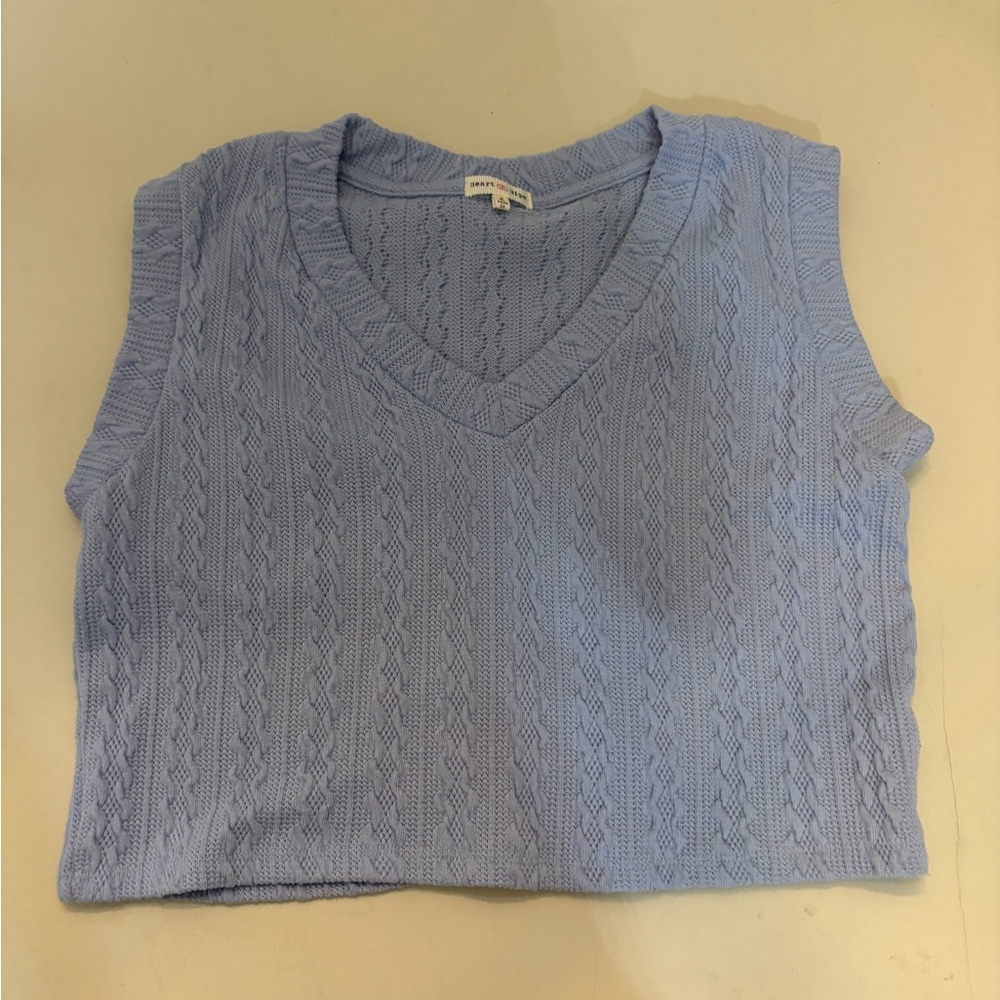 Francesca's Collections Light Blue Knit Top
